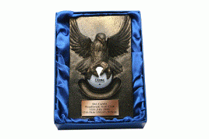 Proud Sponsor of Hole-in-One @ Athlone